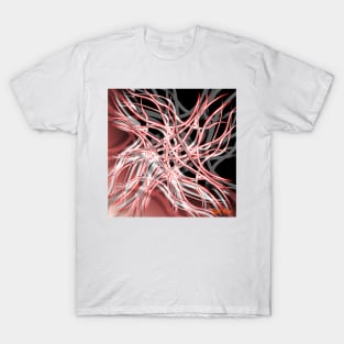 Web weaver, the eye of the storm. T-Shirt